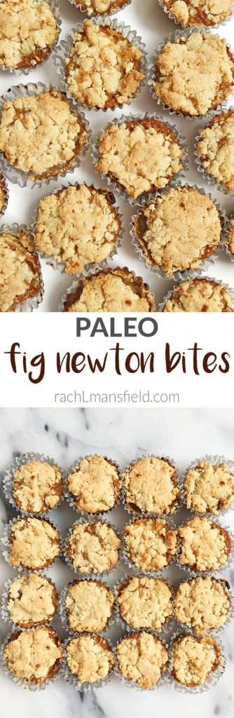 Paleo Fig Newton Bites made with less than 8 ingredients