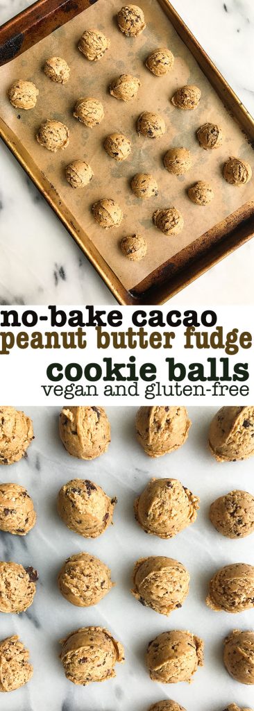 No-Bake Cacao Chip Peanut Butter Fudge Cookie Balls with no added sugar!