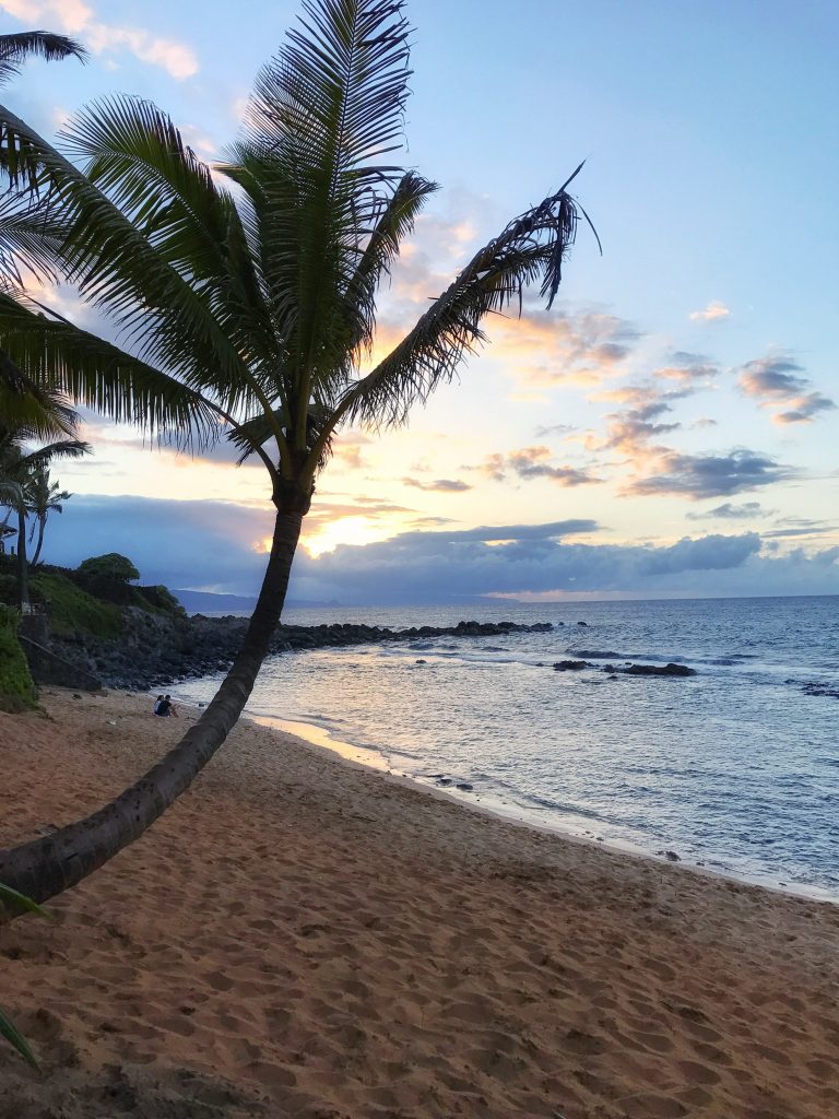 Travel Guide to Maui