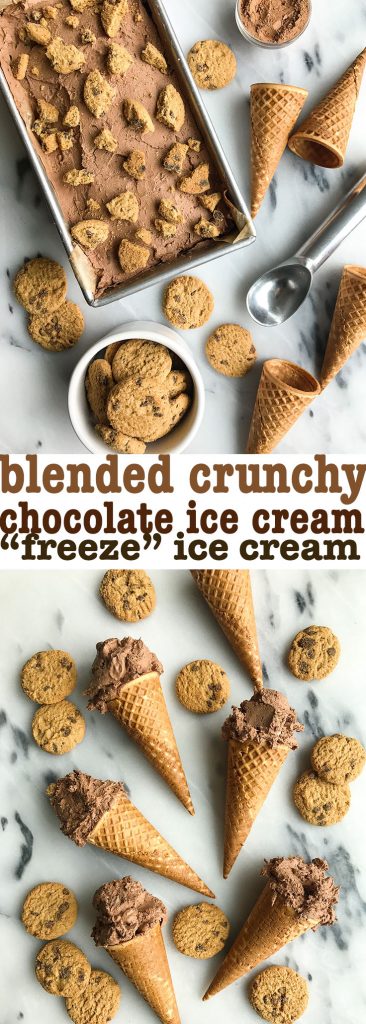 Blended Crunchy Chocolate Cookie "Freeze" Ice Cream (vegan)
