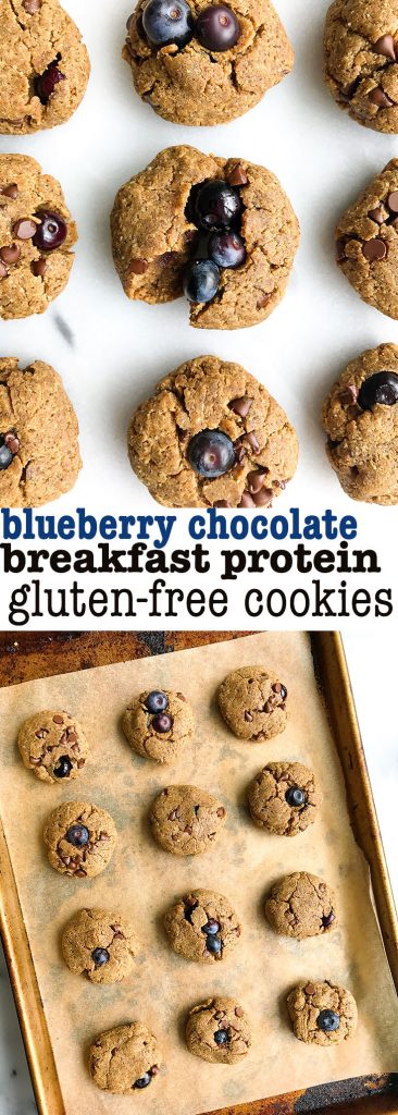 The most delicious Blueberry Chocolate Chip Breakfast Protein Cookies that are gluten & dairy-free!