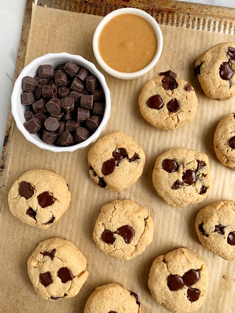 paleo chocolate chip cookies