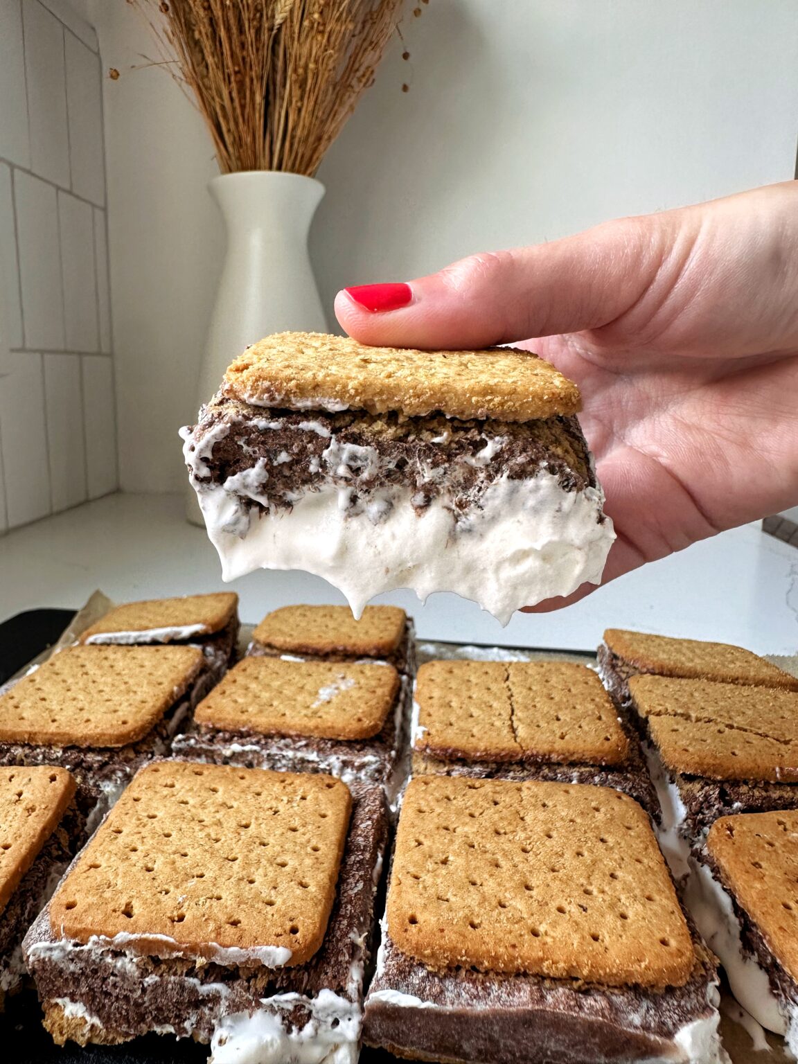 Frozen S'mores - Rachlmansfield