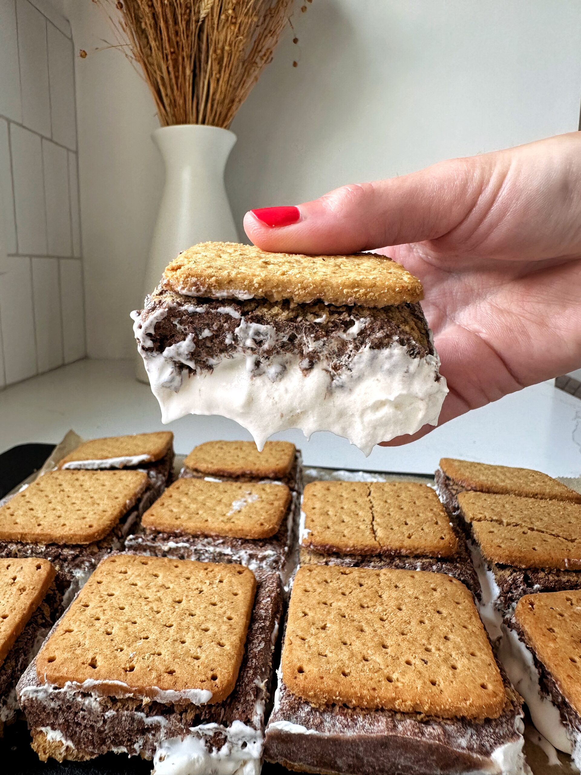 Frozen S'mores - rachLmansfield